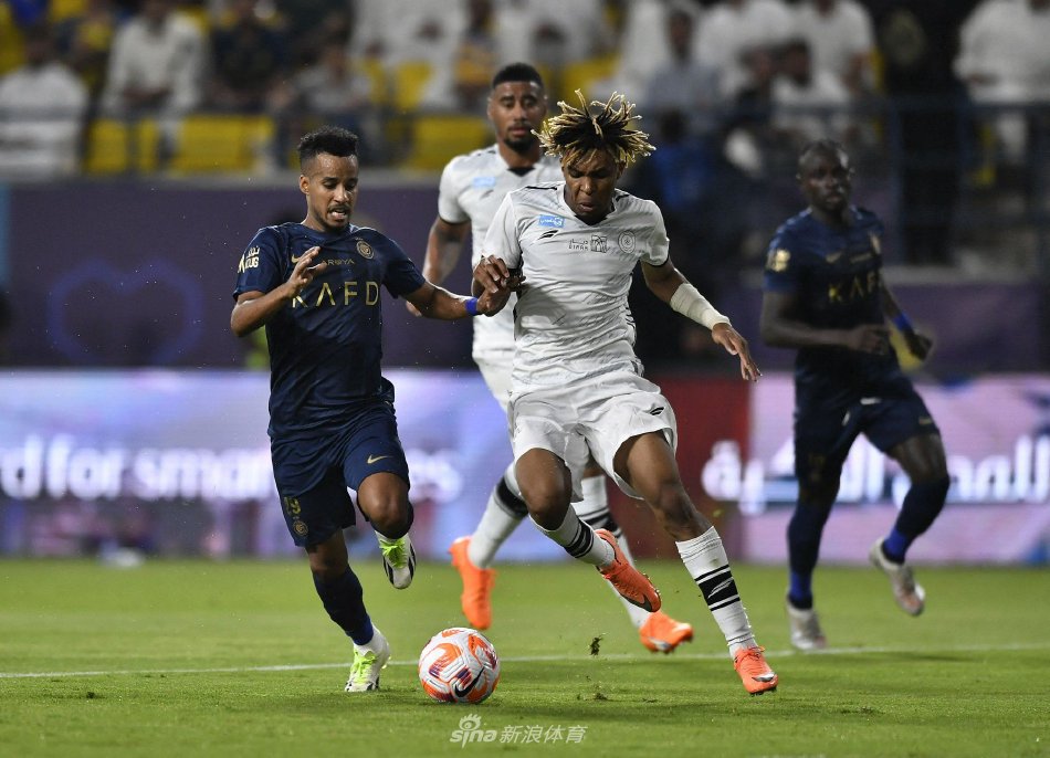 样化和富有 样化和富有